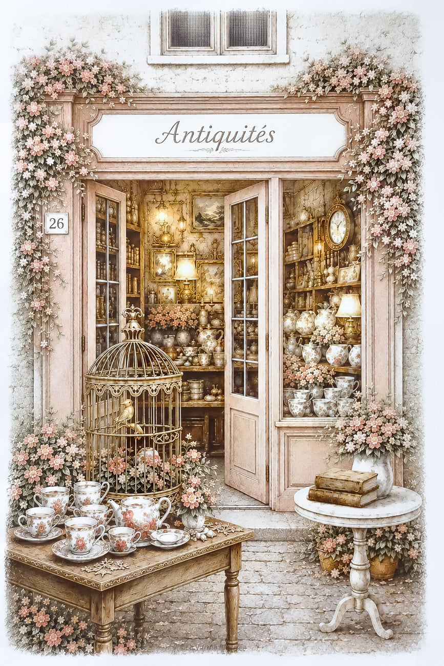 Affiche format A4 d'une vitrine d'antiquaire urbain. Impression HD sur carton 200 g.