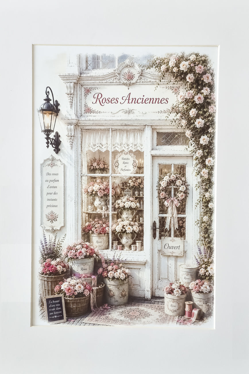 Affiche A4 d'une vitrine de fleuriste Roses Anciennes vue de face. Impression HD sur carton 200 g.