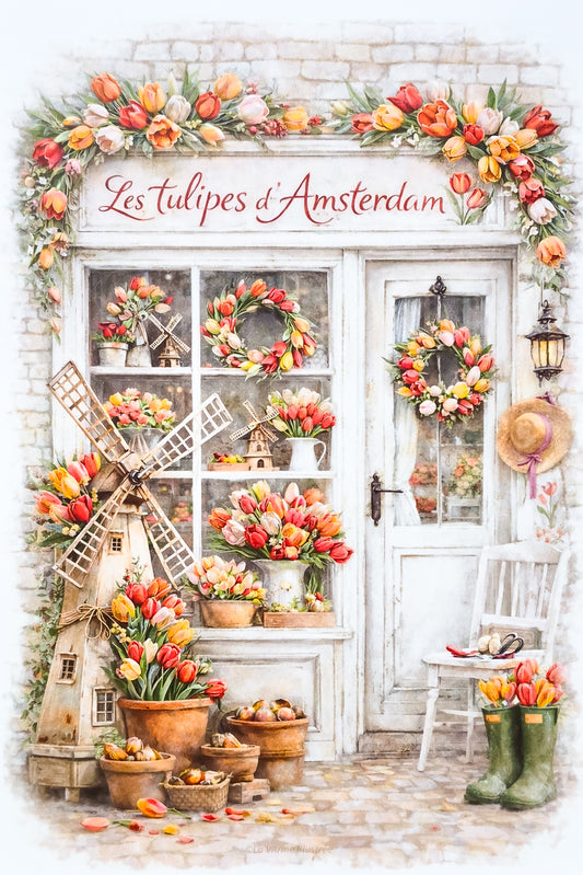 Affiche Les Tulipes d'Amsterdam - Format A4